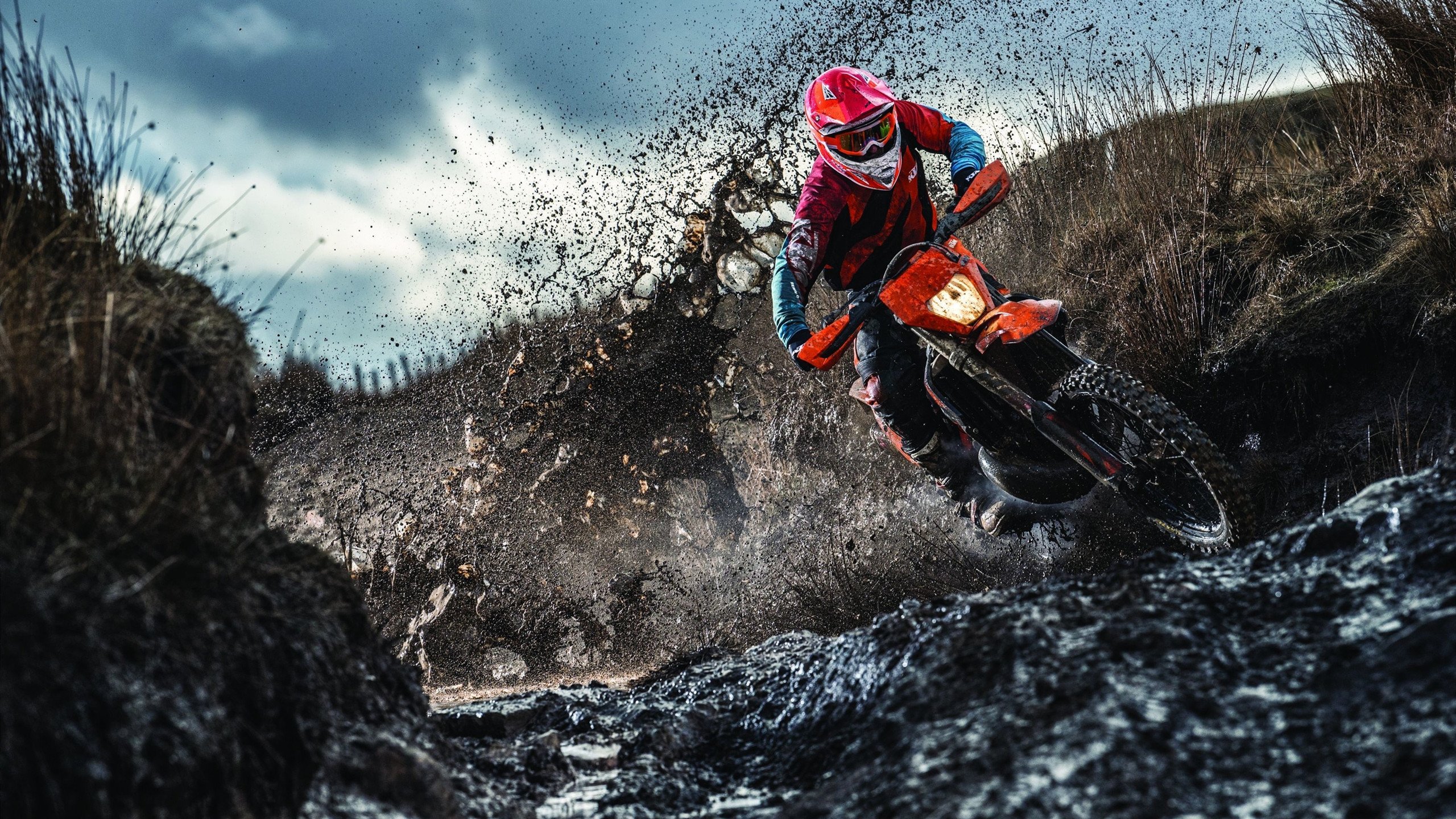 仰泳项目比利时选手节奏稳定,仰泳 backstroke 2017