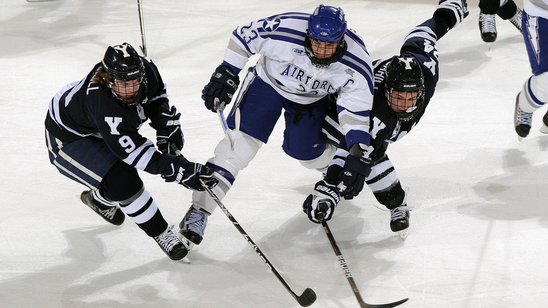 体育新闻中心记者实地探访，体育新闻专题报道