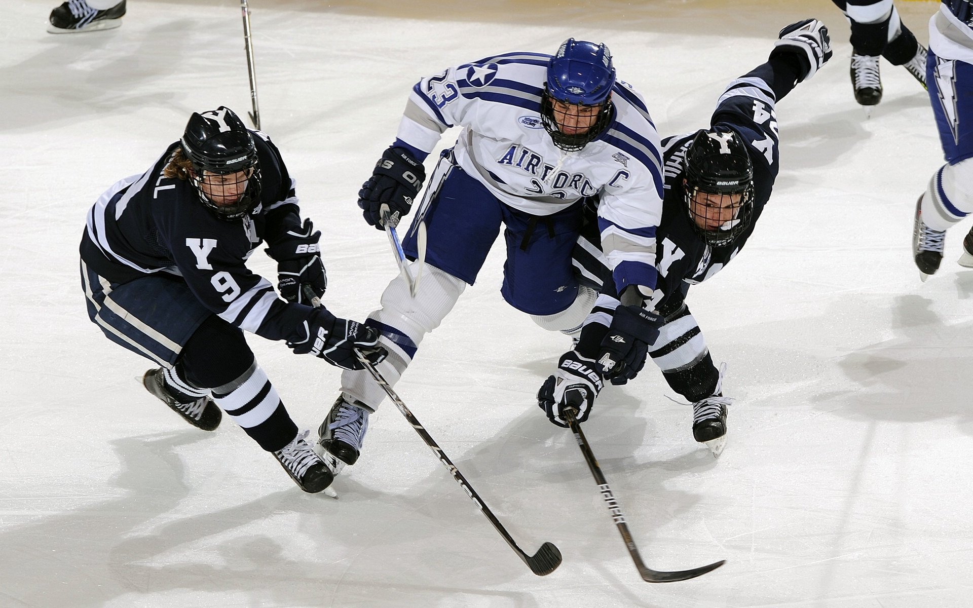 职业联赛引入赛事演示官制度提升球迷理解度，什么叫职业联赛