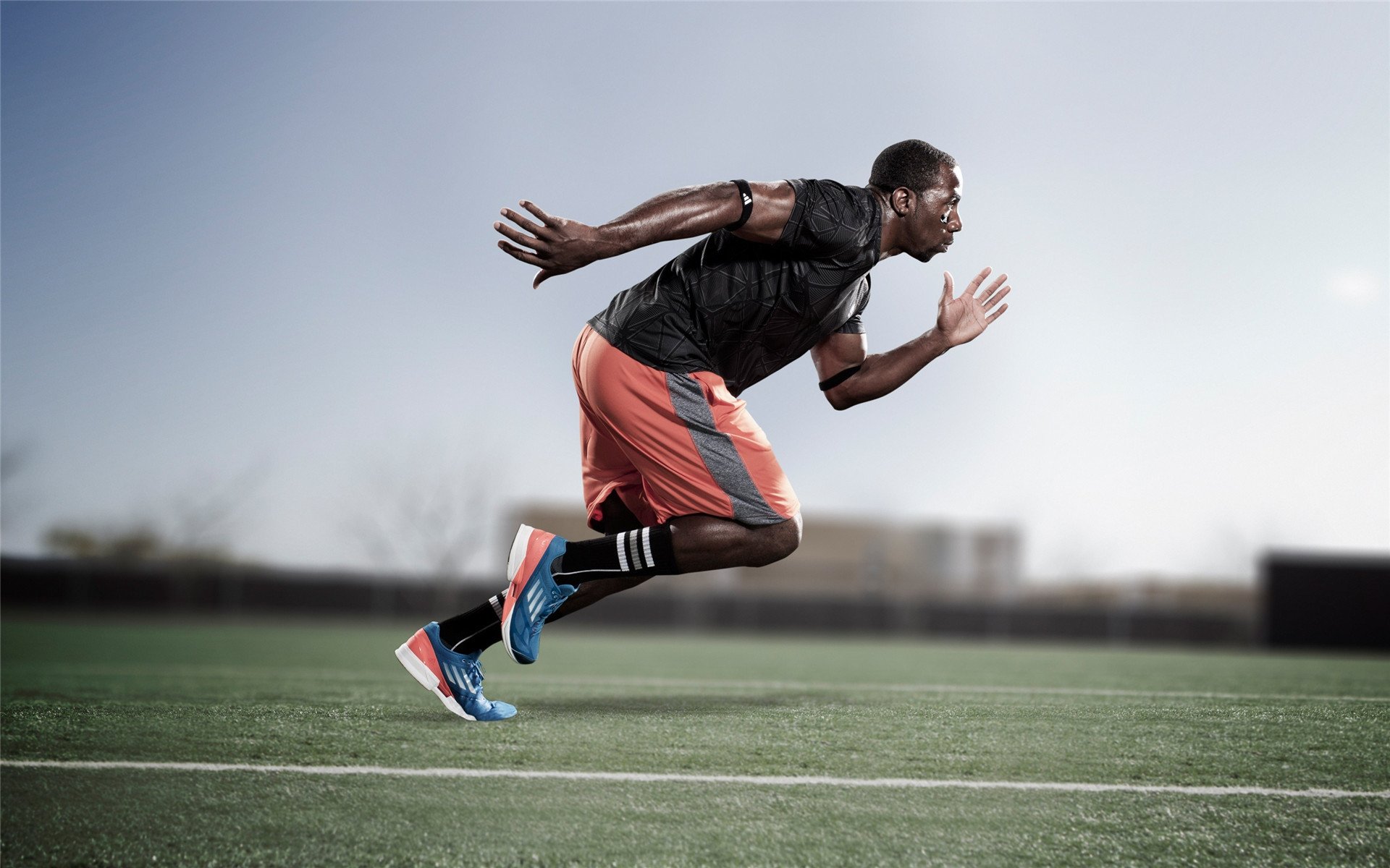 桑德兰战术执行力惊艳搅乱英冠升级格局，桑德兰主帅